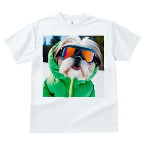 V[Y[ TVc  j[NfUCfB[X t@  t vg lJWA 킢 lԗp Mtg I ҏ΍ XL[EFA V[Y[ S[O 