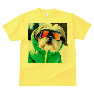 V[Y[ TVc  j[NfUCfB[X t@  t vg lJWA 킢 lԗp Mtg I ҏ΍ XL[EFA V[Y[ S[O 