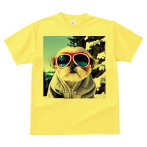 V[Y[ TVc  j[NfUCfB[X t@  t vg lJWA 킢 lԗp Mtg I ҏ΍ XL[ V[Y[ ~  XL[EFA