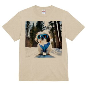 V[Y[ TVc  j[NfUCY LbY t@  t vg lJWA 킢 lԗp Mtg I ҏ΍ XL[ V[Y[  ~ XL[EFA