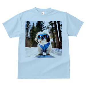 V[Y[ TVc  j[NfUCfB[X t@  t vg lJWA 킢 lԗp Mtg I ҏ΍ XL[ V[Y[  ~ XL[EFA