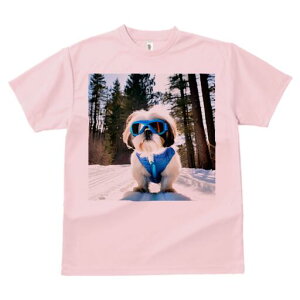 V[Y[ TVc  j[NfUCfB[X t@  t vg lJWA 킢 lԗp Mtg I ҏ΍ XL[ V[Y[  ~ XL[EFA