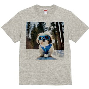 V[Y[ TVc  j[NfUCY LbY t@  t vg lJWA 킢 lԗp Mtg I ҏ΍ XL[ V[Y[  ~ XL[EFA