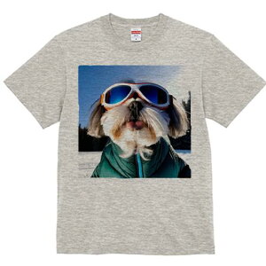 V[Y[ TVc  j[NfUCfB[X t@  t vg lJWA 킢 lԗp Mtg I ҏ΍ XL[ V[Y[ S[O ~ 