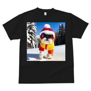 V[Y[ TVc  j[NfUCfB[X t@  t vg lJWA 킢 lԗp Mtg I ҏ΍ XL[ V[Y[ ~  Xq