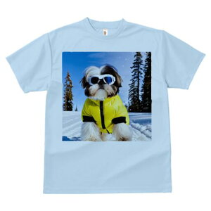 V[Y[ TVc  j[NfUCfB[X t@  t vg lJWA 킢 lԗp Mtg I ҏ΍  V[Y[ XL[EFA S[O ~