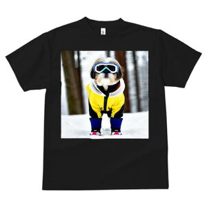 V[Y[ TVc  j[NfUCfB[X t@  t vg lJWA 킢 lԗp Mtg I ҏ΍ XL[EFA V[Y[ XL[S[O 