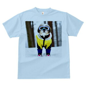 V[Y[ TVc  j[NfUCfB[X t@  t vg lJWA 킢 lԗp Mtg I ҏ΍ XL[EFA V[Y[ XL[S[O 