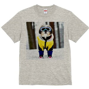 V[Y[ TVc  j[NfUCfB[X t@  t vg lJWA 킢 lԗp Mtg I ҏ΍ XL[EFA V[Y[ XL[S[O 