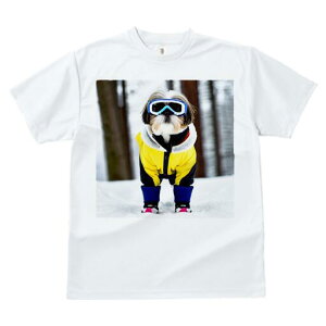 V[Y[ TVc  j[NfUCfB[X t@  t vg lJWA 킢 lԗp Mtg I ҏ΍ XL[EFA V[Y[ XL[S[O 