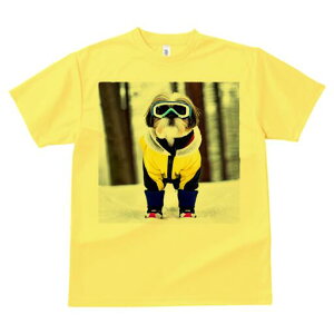 V[Y[ TVc  j[NfUCfB[X t@  t vg lJWA 킢 lԗp Mtg I ҏ΍ XL[EFA V[Y[ XL[S[O 