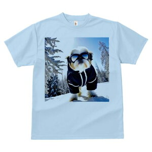 V[Y[ TVc  j[NfUCfB[X t@  t vg lJWA 킢 lԗp Mtg I ҏ΍  V[Y[ ~ XL[EFA S[O