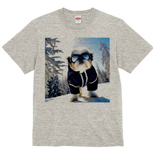 V[Y[ TVc  j[NfUCfB[X t@  t vg lJWA 킢 lԗp Mtg I ҏ΍  V[Y[ ~ XL[EFA S[O