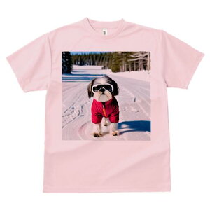 V[Y[ TVc  j[NfUCY LbY t@  t vg lJWA 킢 lԗp Mtg I ҏ΍  V[Y[ ~ XL[EFA XL[