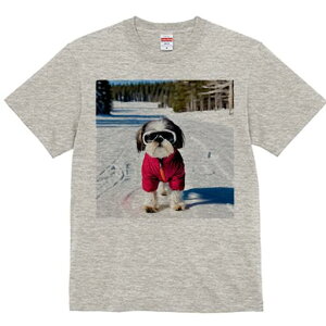 V[Y[ TVc  j[NfUCY LbY t@  t vg lJWA 킢 lԗp Mtg I ҏ΍  V[Y[ ~ XL[EFA XL[