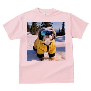 V[Y[ TVc  j[NfUCfB[X t@  t vg lJWA 킢 lԗp Mtg I ҏ΍ XL[ V[Y[  ~ XL[EFA