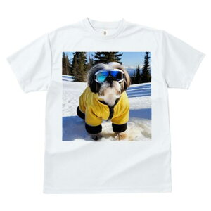 V[Y[ TVc  j[NfUCY LbY t@  t vg lJWA 킢 lԗp Mtg I ҏ΍ XL[ V[Y[  ~ XL[EFA