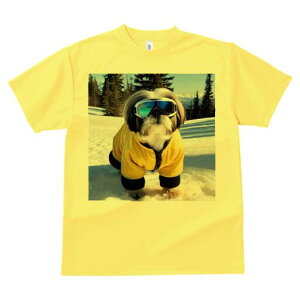 V[Y[ TVc  j[NfUCfB[X t@  t vg lJWA 킢 lԗp Mtg I ҏ΍ XL[ V[Y[  ~ XL[EFA