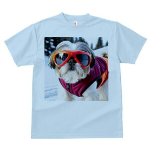 V[Y[ TVc  j[NfUCfB[X t@  t vg lJWA 킢 lԗp Mtg I ҏ΍ S[O V[Y[ XL[EFA ~