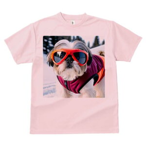 V[Y[ TVc  j[NfUCY LbY t@  t vg lJWA 킢 lԗp Mtg I ҏ΍ S[O V[Y[ XL[EFA ~