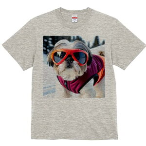 V[Y[ TVc  j[NfUCfB[X t@  t vg lJWA 킢 lԗp Mtg I ҏ΍ S[O V[Y[ XL[EFA ~