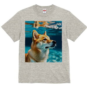 Č TVc  j[NfUCfB[X t@  t vg lJWA 킢 lԗp Mtg I ҏ΍  Č  C