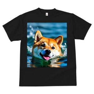 Č TVc  j[NfUCfB[X t@  t vg lJWA 킢 lԗp Mtg I ҏ΍  Č C