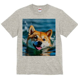 Č TVc  j[NfUCfB[X t@  t vg lJWA 킢 lԗp Mtg I ҏ΍  Č C