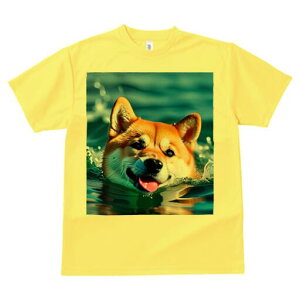 Č TVc  j[NfUCfB[X t@  t vg lJWA 킢 lԗp Mtg I ҏ΍  Č C