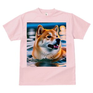 Č TVc  j[NfUCfB[X t@  t vg lJWA 킢 lԗp Mtg I ҏ΍  Č C