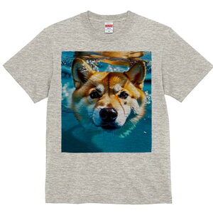 Č TVc  j[NfUCfB[X t@  t vg lJWA 킢 lԗp Mtg I ҏ΍  Č  Ԃ