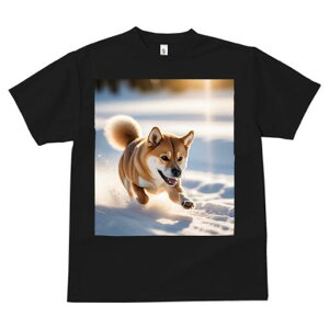 Č TVc  j[NfUCfB[X t@  t vg lJWA 킢 lԗp Mtg I ҏ΍  Č ~ z