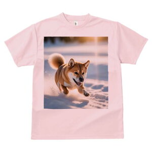 Č TVc  j[NfUCfB[X t@  t vg lJWA 킢 lԗp Mtg I ҏ΍  Č ~ z