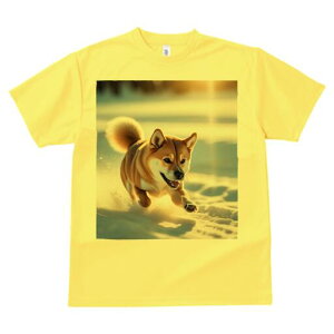 Č TVc  j[NfUCfB[X t@  t vg lJWA 킢 lԗp Mtg I ҏ΍  Č ~ z