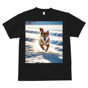 Č TVc  j[NfUCfB[X t@  t vg lJWA 킢 lԗp Mtg I ҏ΍  Č ~ z