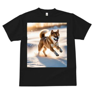 Č TVc  j[NfUCfB[X t@  t vg lJWA 킢 lԗp Mtg I ҏ΍  Č ~ z