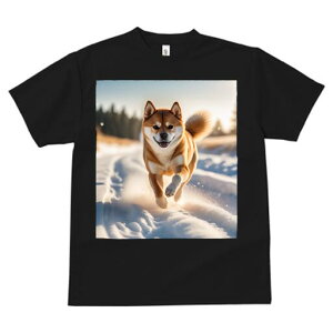 Č TVc  j[NfUCfB[X t@  t vg lJWA 킢 lԗp Mtg I ҏ΍  Č ~ z 