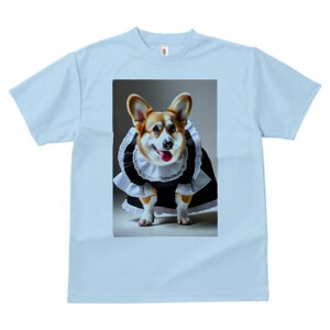 R[M[ TVc  j[NfUCfB[X t@  t vg lJWA 킢 lԗp Mtg I ҏ΍ Ch R[M[ t