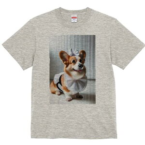 R[M[ TVc  j[NfUCfB[X t@  t vg lJWA 킢 lԗp Mtg I ҏ΍ { R[M[ t