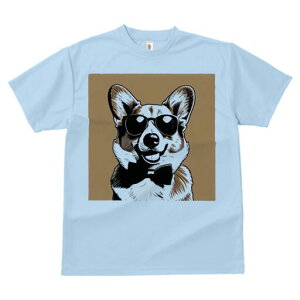 R[M[ TVc  j[NfUCfB[X t@  t vg lJWA 킢 lԗp Mtg I ҏ΍ TOX R[M[ lN^C