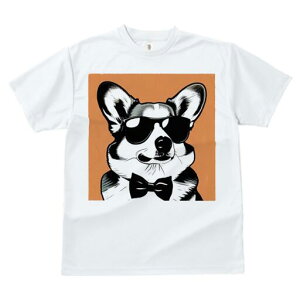 R[M[ TVc  j[NfUCfB[X t@  t vg lJWA 킢 lԗp Mtg I ҏ΍ TOX R[M[ lN^C