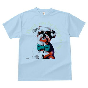 }`[Y TVc  j[NfUCfB[X t@  t vg lJWA 킢 lԗp Mtg I ҏ΍ lN^C }`[Y TOX