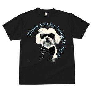 }`[Y TVc  j[NfUCfB[X t@  t vg lJWA 킢 lԗp Mtg I ҏ΍ TOX }`[Y lN^C