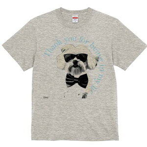 }`[Y TVc  j[NfUCfB[X t@  t vg lJWA 킢 lԗp Mtg I ҏ΍ TOX }`[Y lN^C