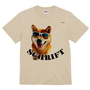 Č TVc  j[NfUCfB[X t@  t vg lJWA 킢 lԗp Mtg I ҏ΍ TOX Č