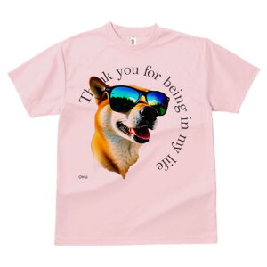 Č TVc  j[NfUCfB[X t@  t vg lJWA 킢 lԗp Mtg I ҏ΍ TOX Č