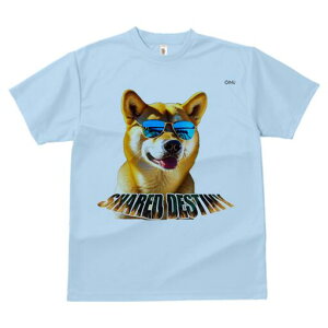 Č TVc  j[NfUCfB[X t@  t vg lJWA 킢 lԗp Mtg I ҏ΍ TOX Č