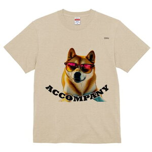 Č TVc  j[NfUCfB[X t@  t vg lJWA 킢 lԗp Mtg I ҏ΍ TOX Č