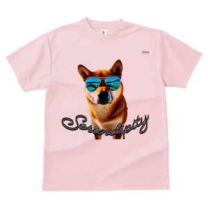 Č TVc  j[NfUCfB[X t@  t vg lJWA 킢 lԗp Mtg I ҏ΍ TOX Č