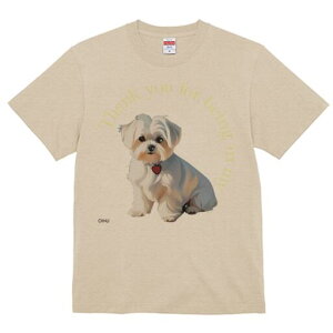 }`[Y TVc  j[NfUCfB[X t@  t vg lJWA 킢 lԗp Mtg I ҏ΍ }`[Y